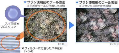 ブラシ使用前のウールPhoto
