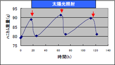 エコ ハニカム炭の脱臭再生試験　データ2