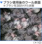 ブラシ使用後のウールPhoto
